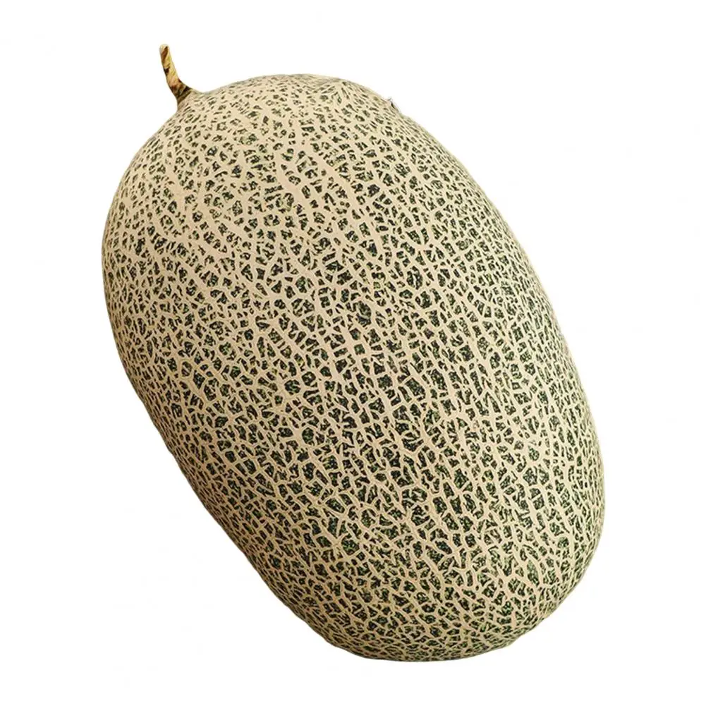 Hami Melon